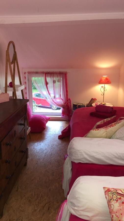 Le Loft Au-Dessus Des Pins Lacanau Exterior foto