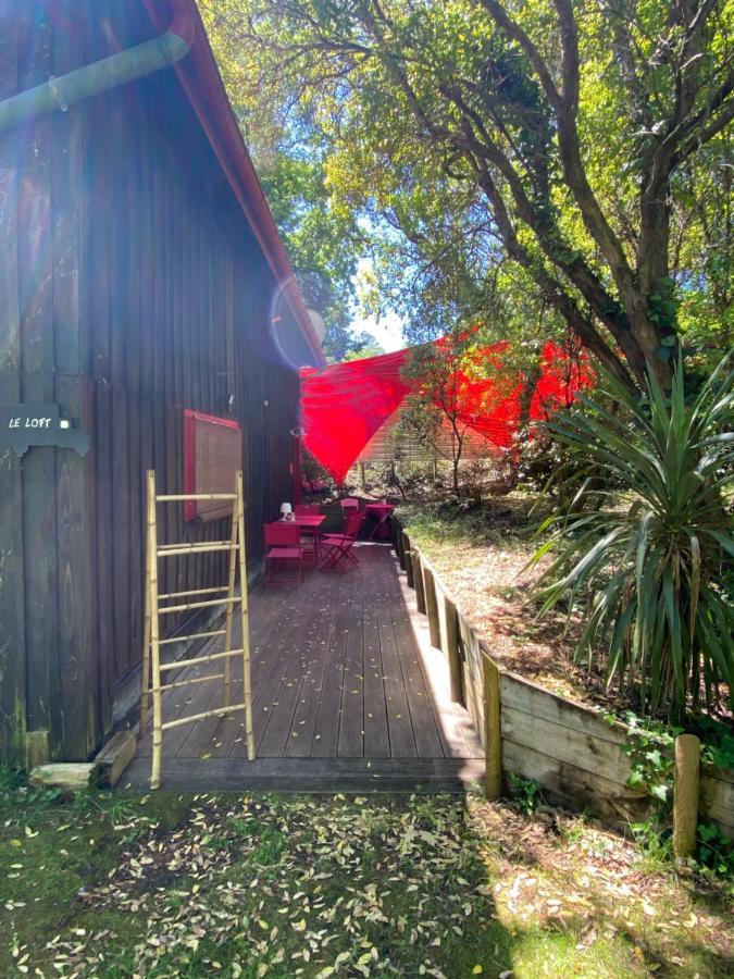 Le Loft Au-Dessus Des Pins Lacanau Exterior foto