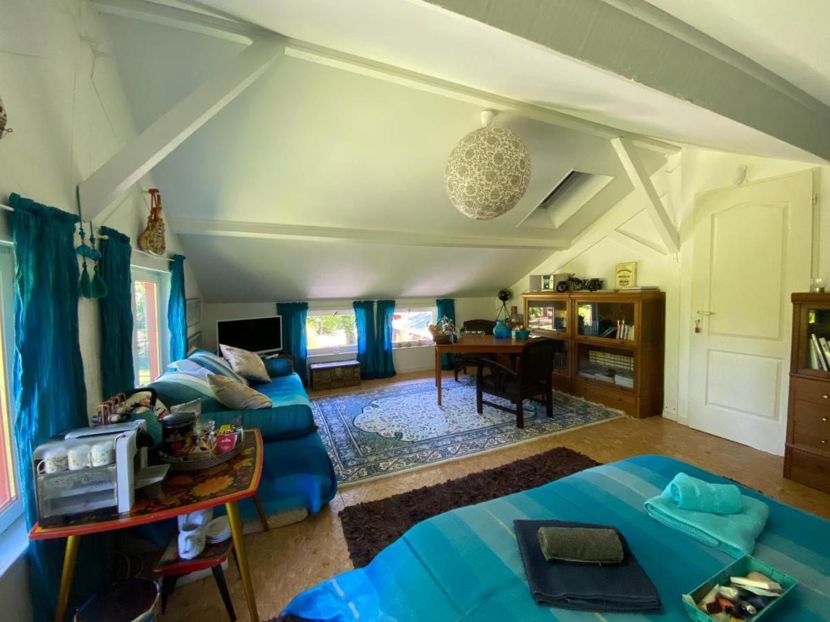 Le Loft Au-Dessus Des Pins Lacanau Exterior foto