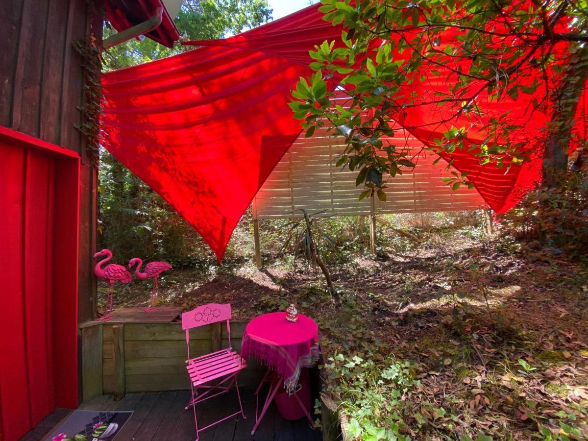 Le Loft Au-Dessus Des Pins Lacanau Exterior foto