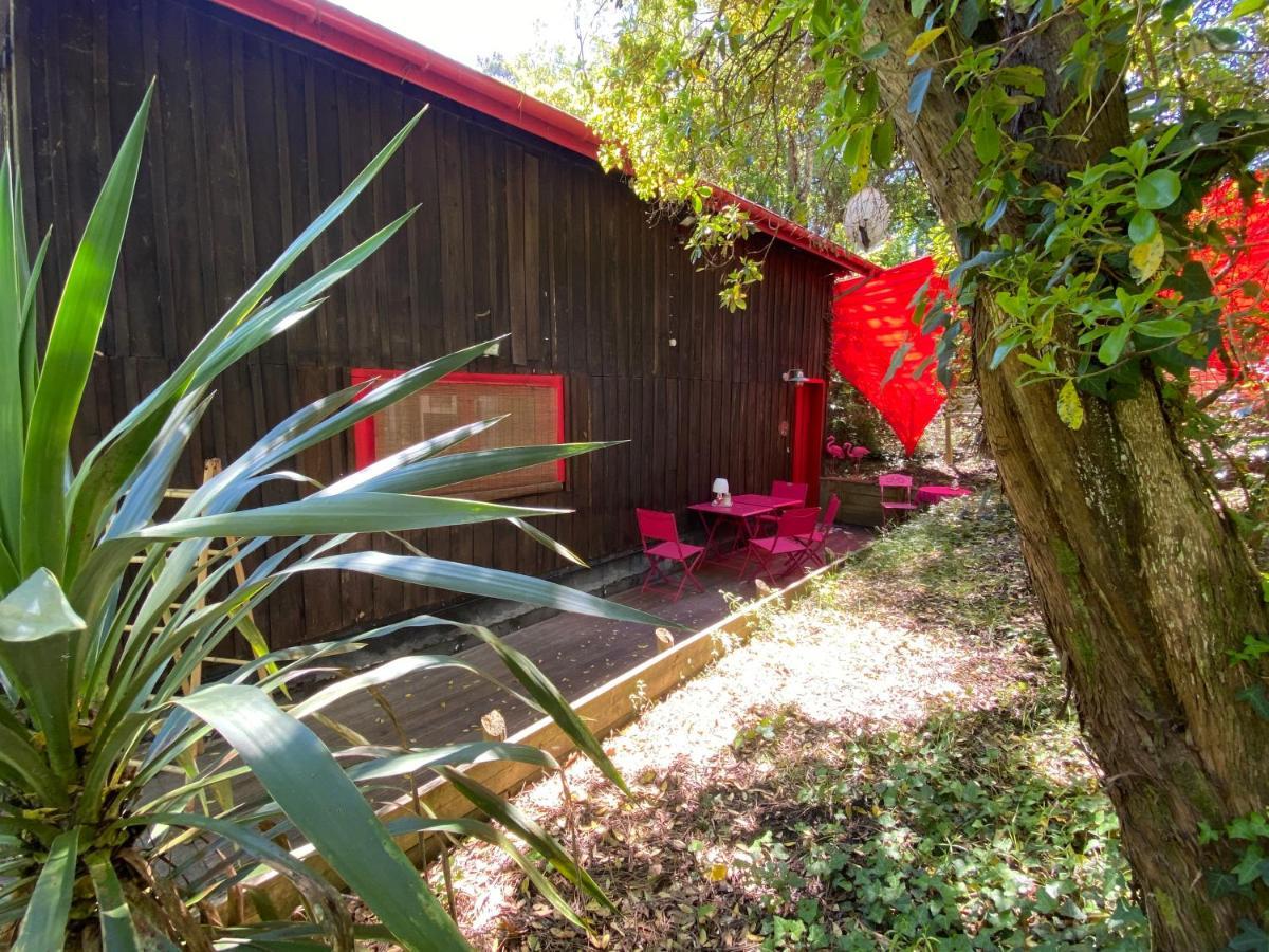 Le Loft Au-Dessus Des Pins Lacanau Exterior foto