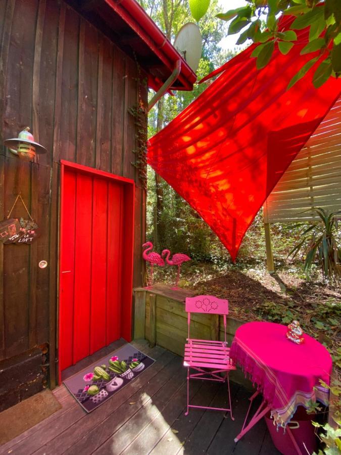 Le Loft Au-Dessus Des Pins Lacanau Exterior foto
