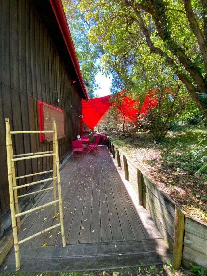 Le Loft Au-Dessus Des Pins Lacanau Exterior foto